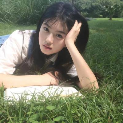 假元首秘纪
