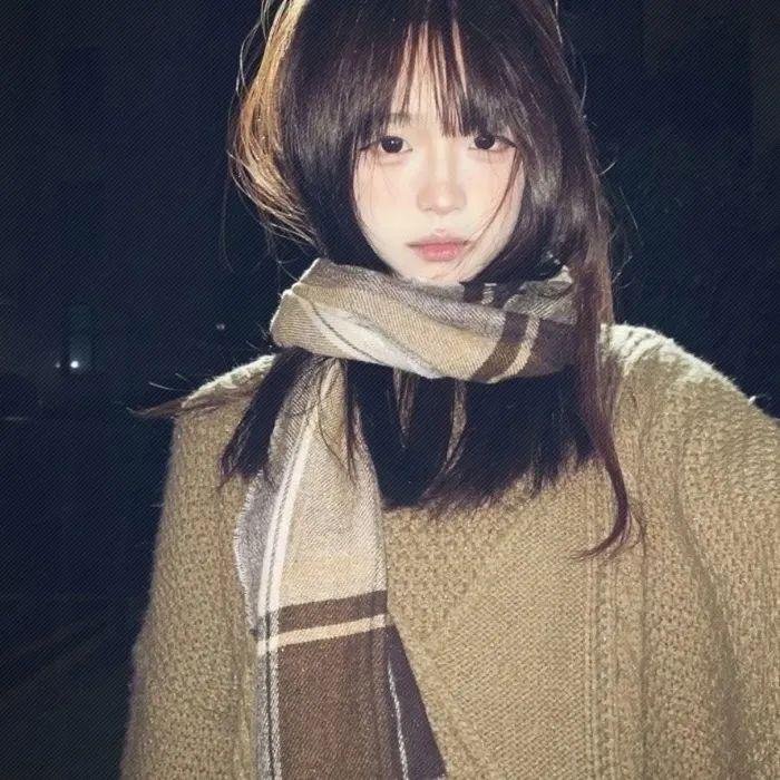 掩耳盗邻第一季